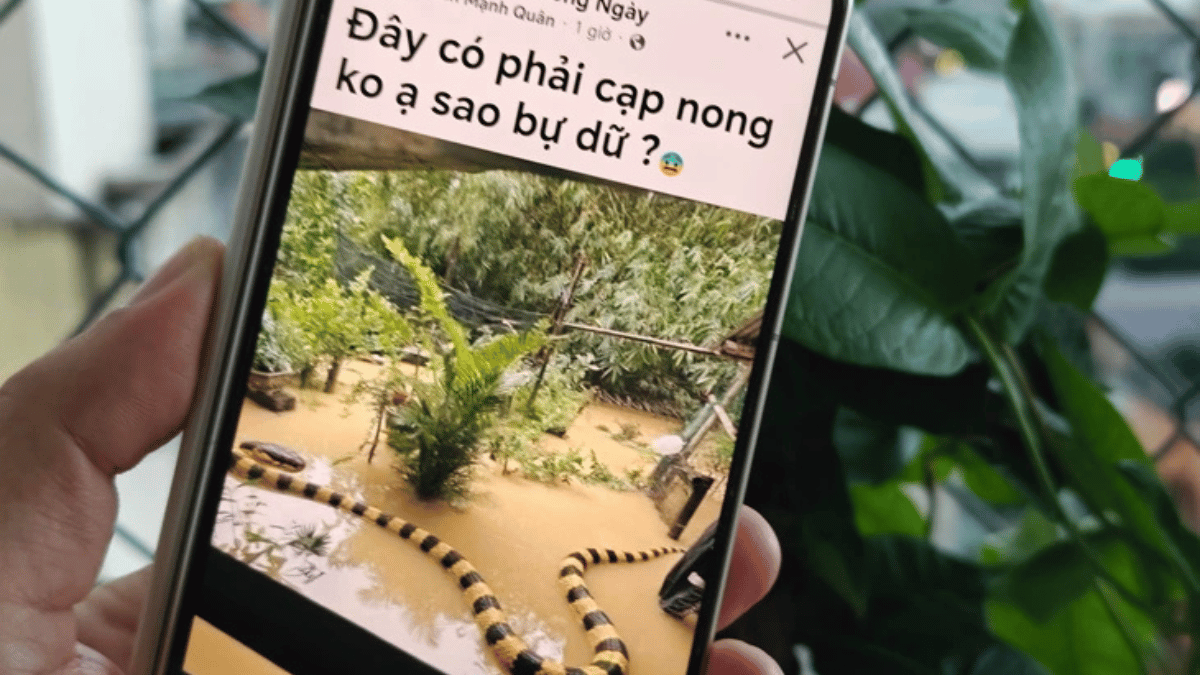 Từ hình ảnh, video đến ca khúc AI: Cẩn trọng ‘cơn lốc’ nội dung AI trên mạng xã hội