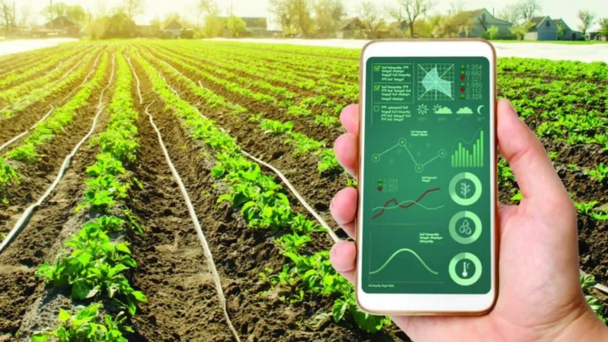 Ứng dụng AI và dữ liệu trong nông nghiệp: Cơ hội vàng để Việt Nam bứt phá