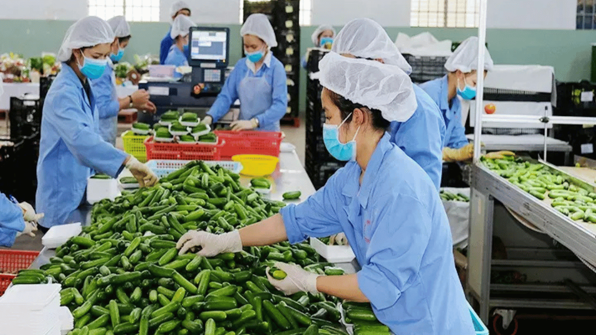 Nội lực quyết định “sức bền” doanh nghiệp Việt